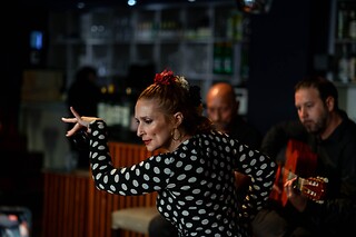 Un menú degustación y espectáculo flamenco para 2 en Restaurante Vino Mío en Málaga