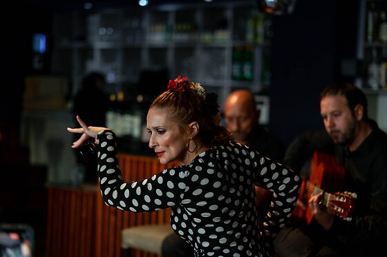 Un menú degustación y espectáculo flamenco para 2 en Restaurante Vino Mío en Málaga