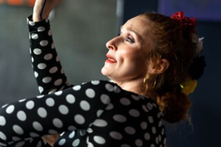 Un menú degustación y espectáculo flamenco para 2 en Restaurante Vino Mío en Málaga