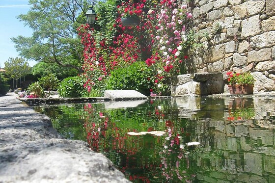 QUINTA DO TERREIRO - photo 7