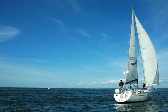 ESCUELA INTERNACIONAL DE VELA - photo 10