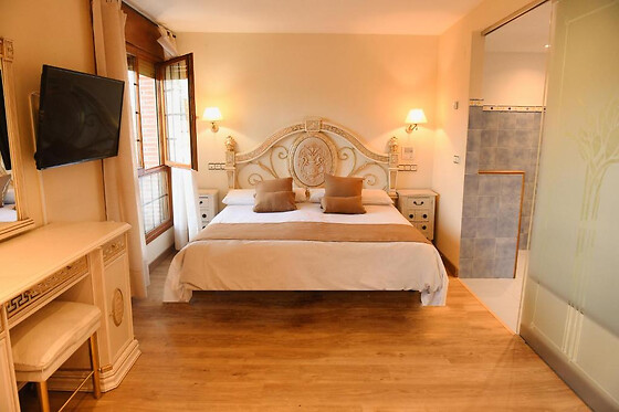 HOTEL VILLA DE VINUESA - photo 8