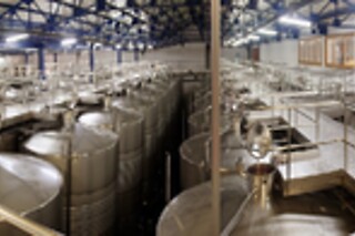 Una visita a la bodega con cata para 2 en Bodega San Esteban en Murillo de Río Leza (La Rioja)