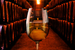 BODEGAS LAS TIRAJANAS
