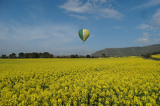 Un vuelo en globo para 1 adulto y 1 niño en Camins de Vent en Lleida