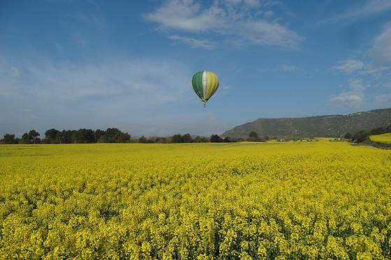 Un vuelo en globo para 1 adulto y 1 niño en Camins de Vent en Lleida