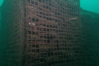 Una experiencia "Cata en tierra" para 2 en Bodegas Undersea en Puerto de Mazarrón (Murcia)