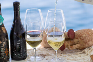 Una experiencia "Cata en tierra" para 2 en Bodegas Undersea en Puerto de Mazarrón (Murcia)