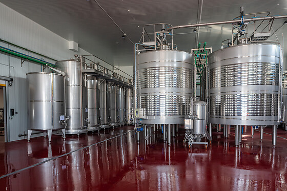 Una visita guiada a la bodega + 