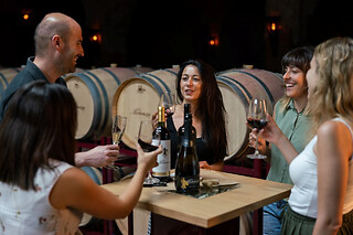 Una visita guiada a la bodega + "Experiencia Aldonza Gourmet" para 2 en Aldonza Gourmet en Munera (Albacete)