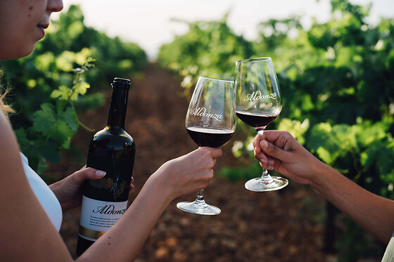 Una visita guiada a la bodega + 