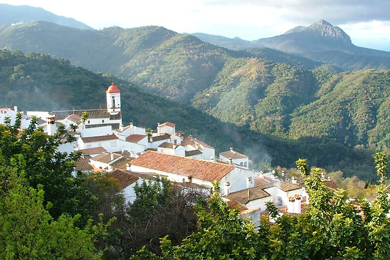 APARTAMENTOS RURALES JARDINES DEL VISIR - photo 6