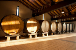 LLAGAR SIDRA CASTAÑON