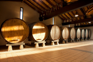 Una vista guida a la bodega con cata de 2 sidras y vermut de sidra con pincho para 2 en Llagar Sidra Castañón en Quintueles (Asturias)