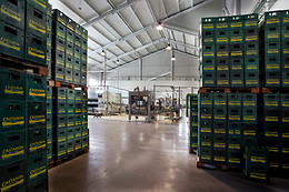 LLAGAR SIDRA CASTAÑON