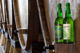 LLAGAR SIDRA CASTAÑON