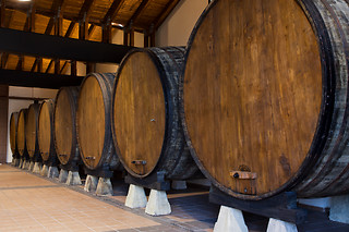 Una vista guida a la bodega con cata de 2 sidras y vermut de sidra con pincho para 2 en Llagar Sidra Castañón en Quintueles (Asturias)