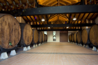 Una vista guida a la bodega con cata de 2 sidras y vermut de sidra con pincho para 2 en Llagar Sidra Castañón en Quintueles (Asturias)