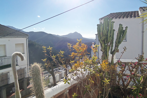 APARTAMENTOS RURALES JARDINES DEL VISIR - photo 7