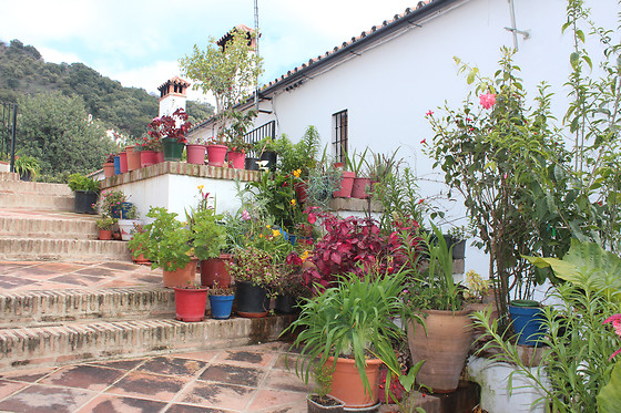 APARTAMENTOS RURALES JARDINES DEL VISIR - photo 9