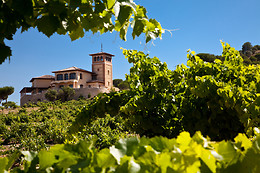 BODEGA  PIEDRA