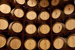 BODEGA  PIEDRA