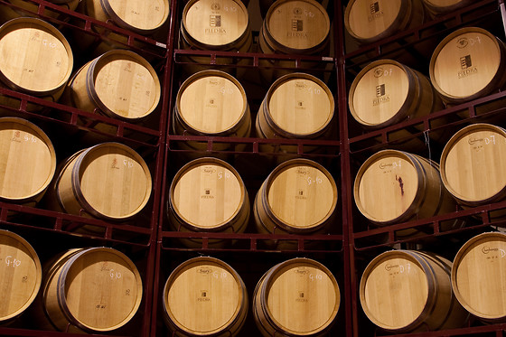 BODEGA  PIEDRA - photo 6