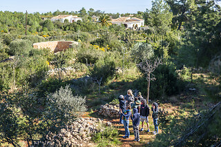 Una Experiencia Apiturismo VIP para 2 en Miel Montgó en Jávea (Alicante)