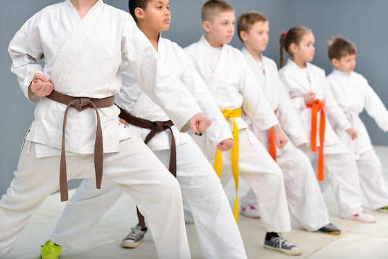 Ippon Karate Portugal - photo 0