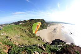 PARAPENTALIA