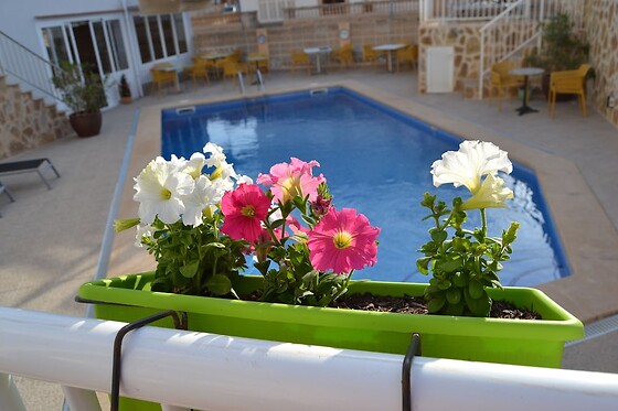 Online Booking EPS - photo 2