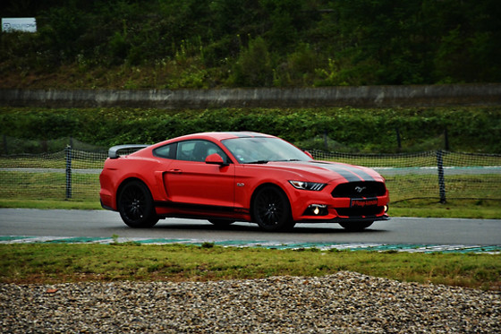 SP Pilotage automobile - photo 7