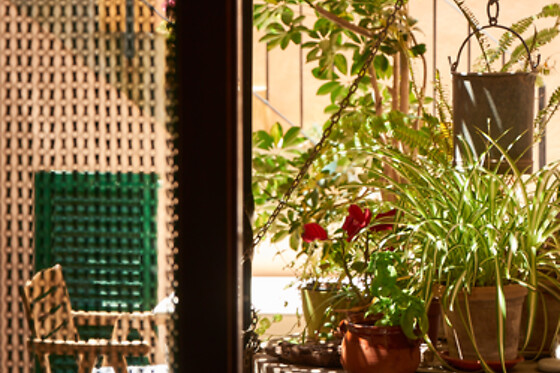 HOTEL CAN BUSQUETS - photo 4