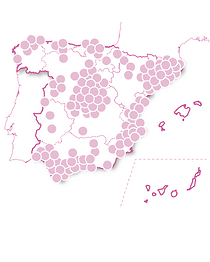 Rituales de lujo