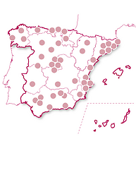 Cena con estrellas