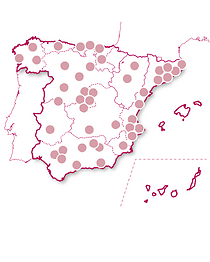 Cena con estrellas
