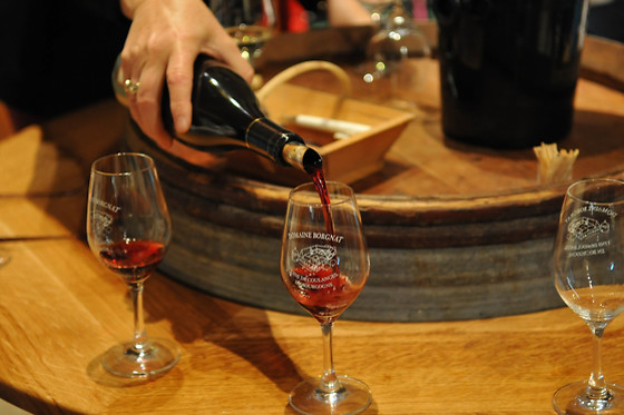 Domaine Borgnat - photo 7