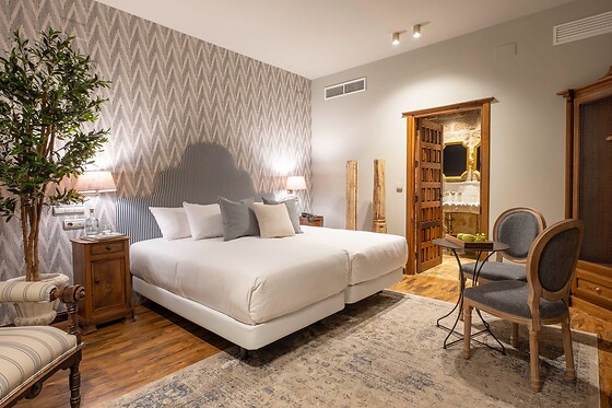 HOTEL CETINA PALACIO DE LOS SALCEDO - photo 1