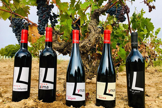 LYNUS, VIÑEDOS Y BODEGAS - photo 4