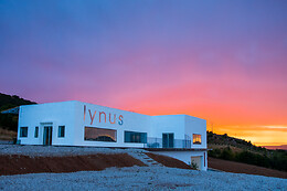 LYNUS, VIÑEDOS Y BODEGAS