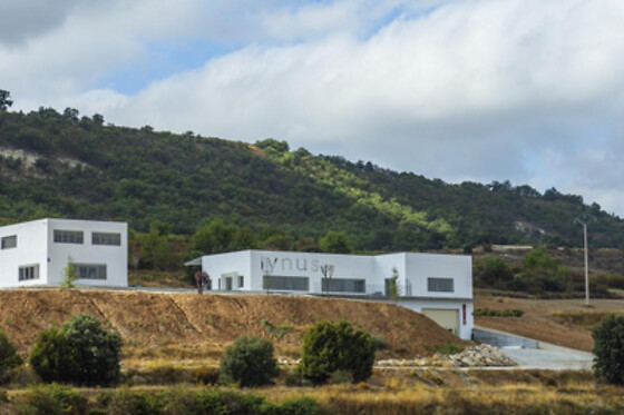 LYNUS, VIÑEDOS Y BODEGAS - photo 1