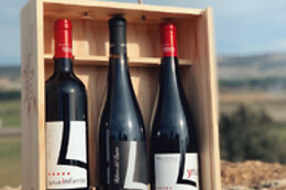 LYNUS, VIÑEDOS Y BODEGAS