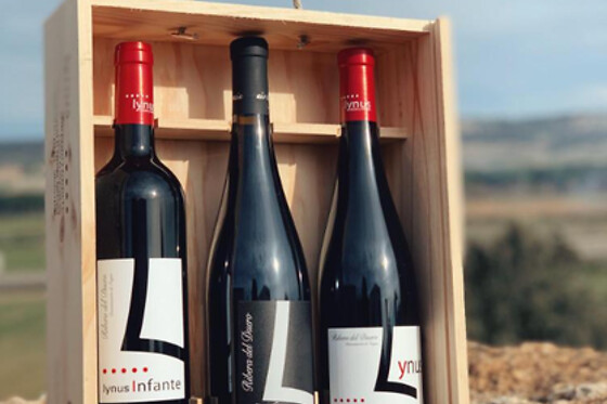 LYNUS, VIÑEDOS Y BODEGAS - photo 10