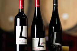 LYNUS, VIÑEDOS Y BODEGAS