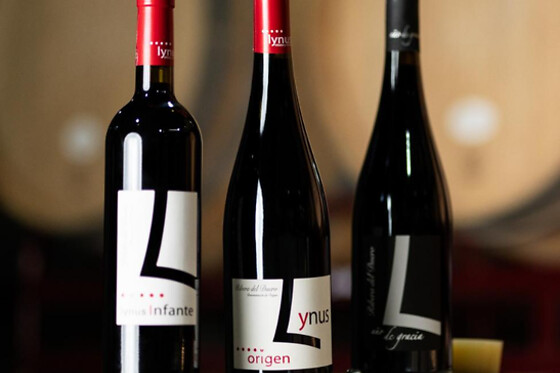 LYNUS, VIÑEDOS Y BODEGAS - photo 11
