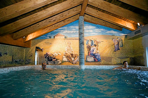 POSADA LOS CONDESTABLES HOTEL & SPA - photo 29