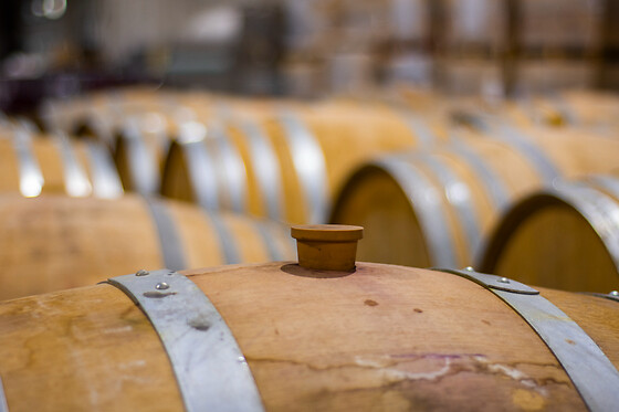 LYNUS, VIÑEDOS Y BODEGAS - photo 12