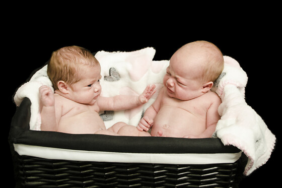 Studio Photo AD - photo 6
