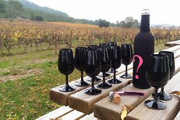 Vigno'Vins
