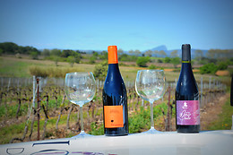 Vigno'Vins